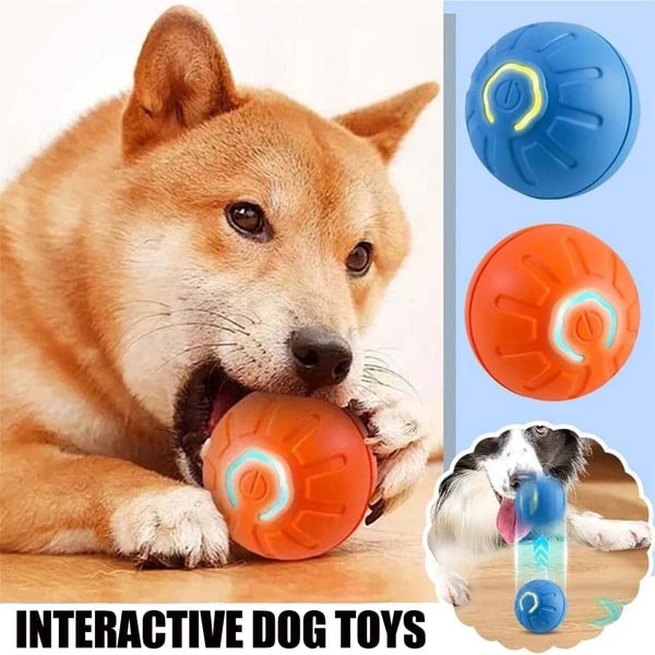 Shaky Ball Toy for Dogs