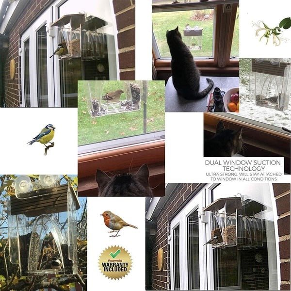 🐦 Limited Time Sale 49% OFF 💝 Arch Window Bird Feeder 🏠