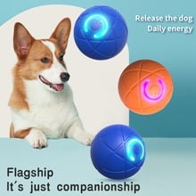 Shaky Ball Toy for Dogs