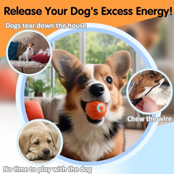 Shaky Ball Toy for Dogs