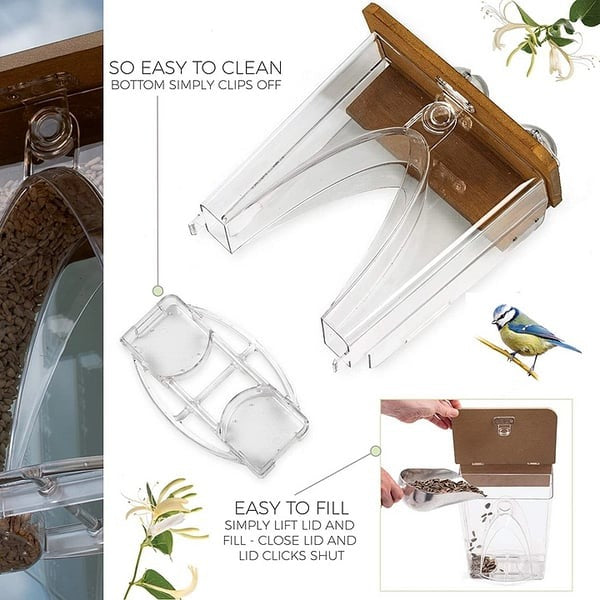🐦 Limited Time Sale 49% OFF 💝 Arch Window Bird Feeder 🏠