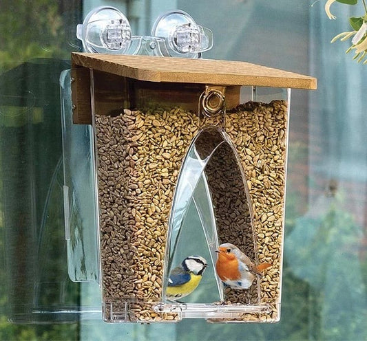 🐦 Limited Time Sale 49% OFF 💝 Arch Window Bird Feeder 🏠