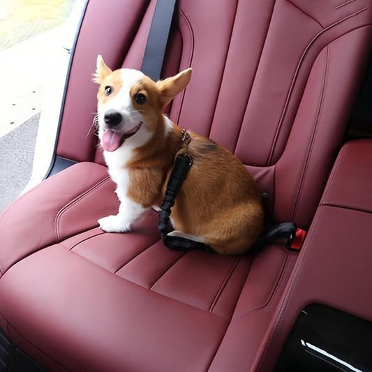 Adjustable Pet Car Seat Belt