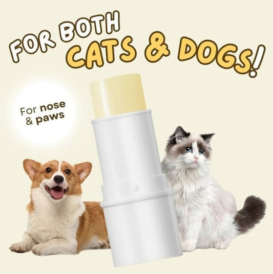 Paw Ointment Stick