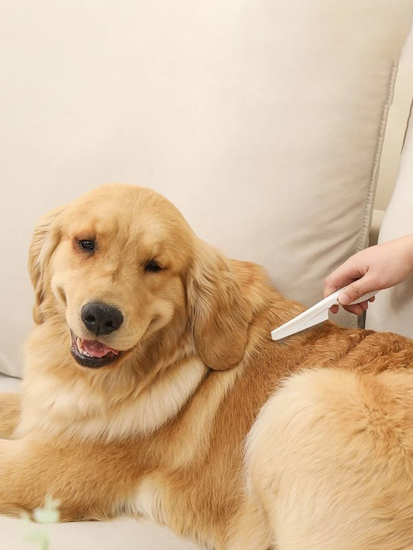 Pet Care Stainless Steel Comfort Flea Comb