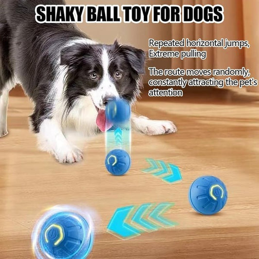 Shaky Ball Toy for Dogs