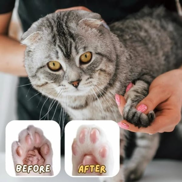 Paw Ointment Stick