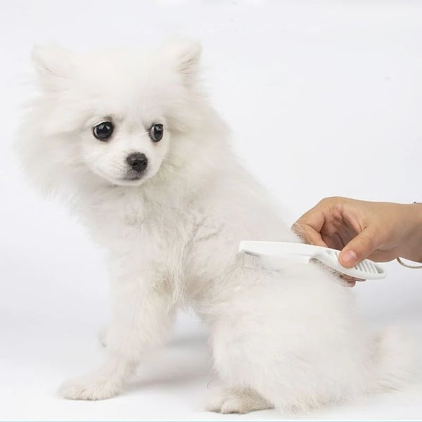 Pet Care Stainless Steel Comfort Flea Comb