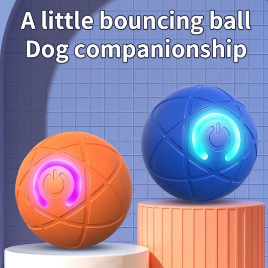 Shaky Ball Toy for Dogs