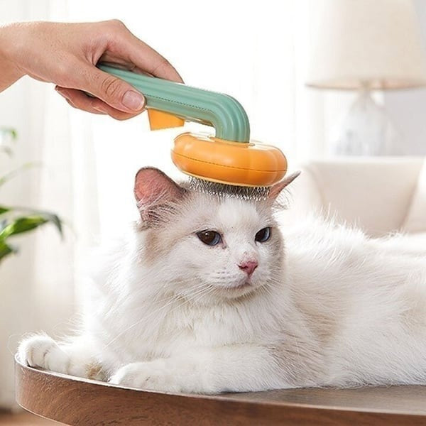 Pumpkin Pet Grooming Tool Pet Remove Hair Brush