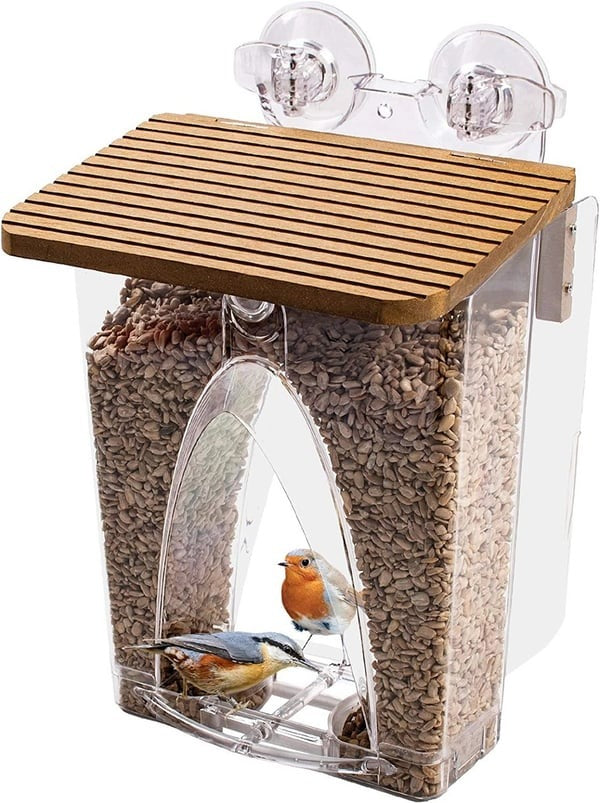 🐦 Limited Time Sale 49% OFF 💝 Arch Window Bird Feeder 🏠