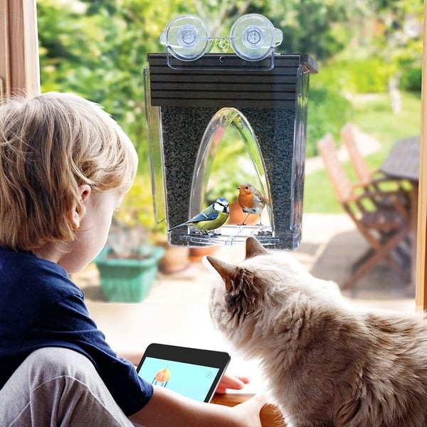🐦 Limited Time Sale 49% OFF 💝 Arch Window Bird Feeder 🏠