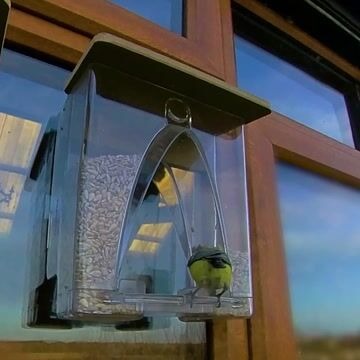 🐦 Limited Time Sale 49% OFF 💝 Arch Window Bird Feeder 🏠